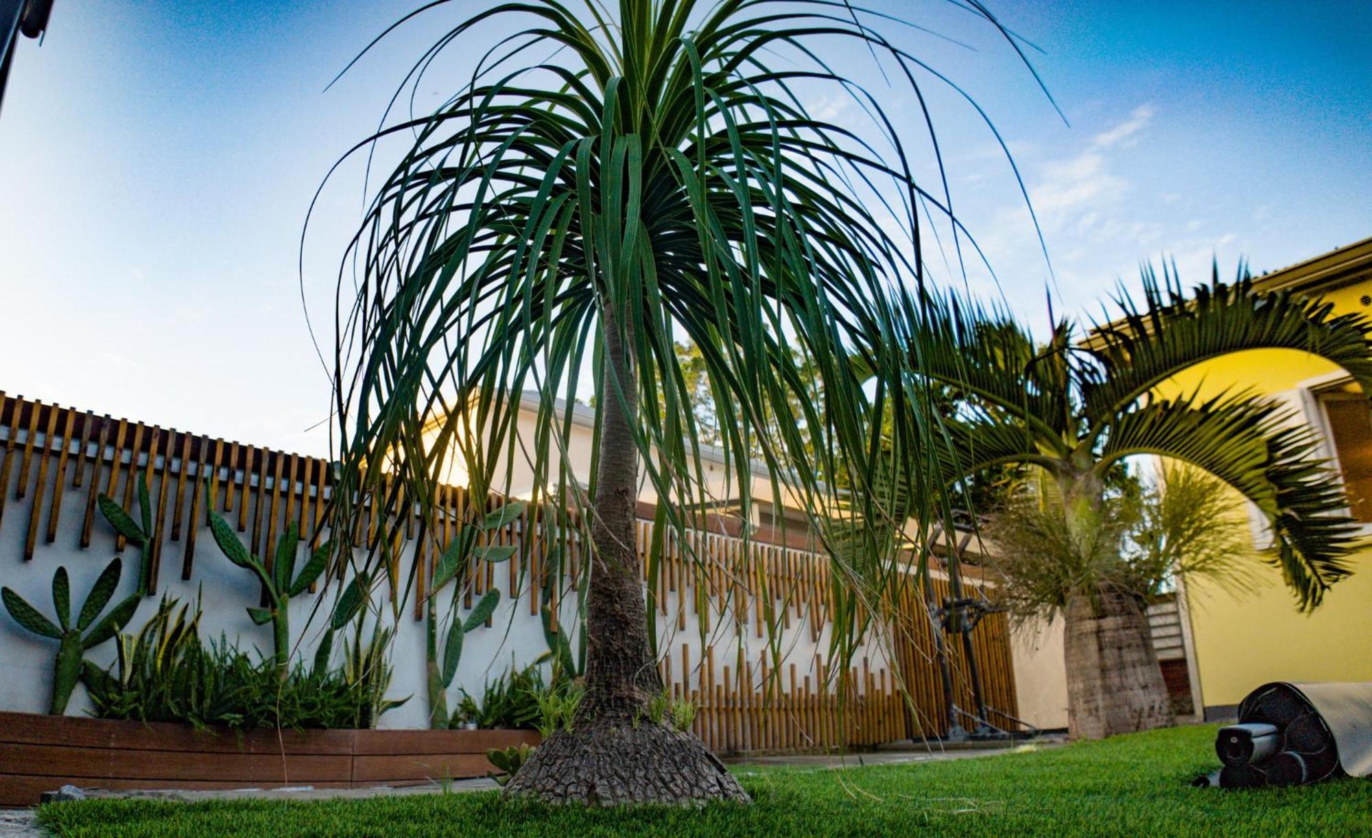 Villa Osao Panahy Le Patelin Exterior photo